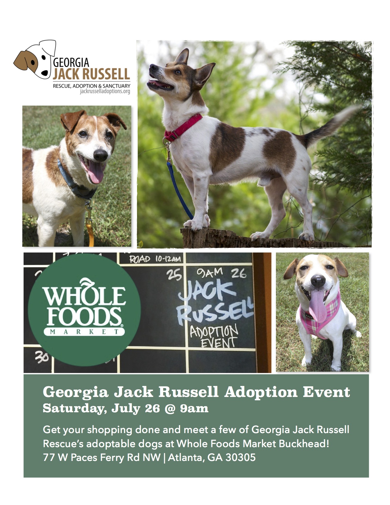 Whole Foods Flyer - Georgia Jack Russell Rescue