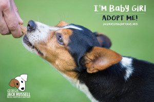 Adopt Baby Girl