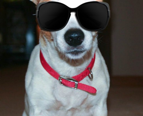 Floyd with fake shades