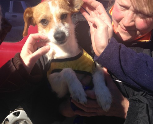 JRT rescue with broken leg