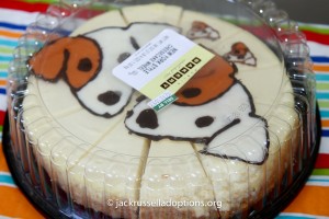 Jack Russell rescue cheesecake